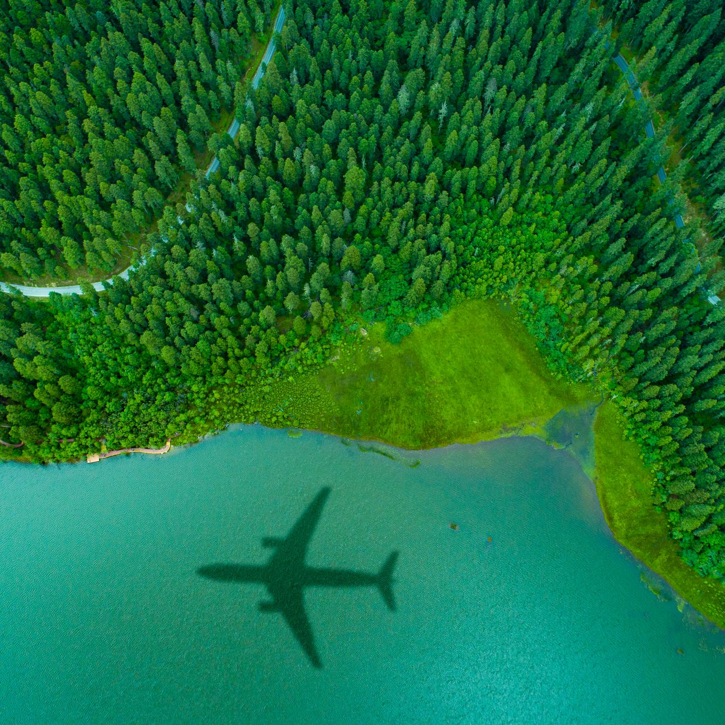 Airplane shadow over island forest